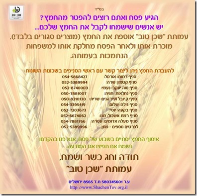 shachen tov